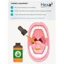 Organic hemp oil with CBD 10% 10 ml bottle | HEXA3